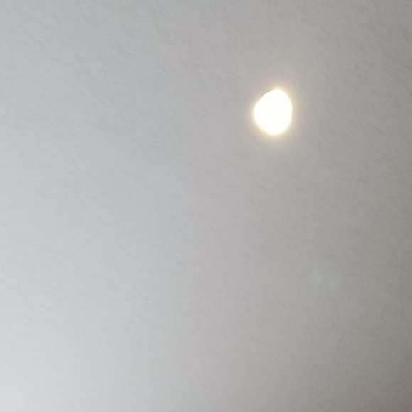 Meet your Posher, Maria - Picture 1 of 1